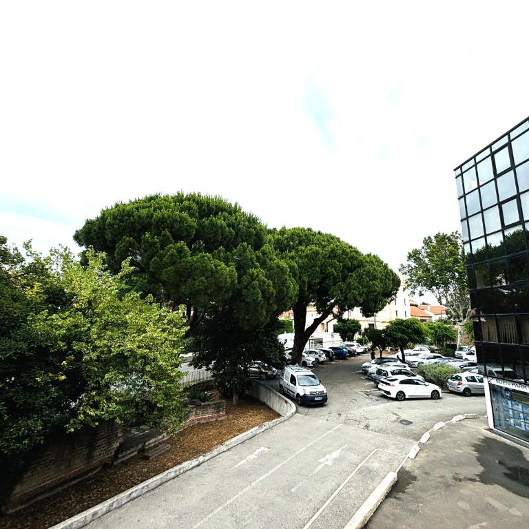 Studio bord de mer - Appartement 1 Chambre - 12