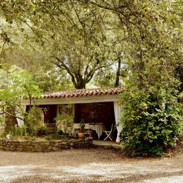 Villa Le Niaouli - Maison 3 Chambres - 3