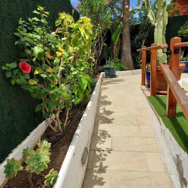 Las Tartanas Two Bedroom Bungalow - Casa de 2 dormitorios - 36
