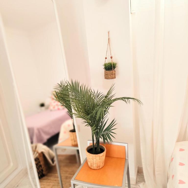 Luna Rossa - Two-Bedroom Apartment - 11