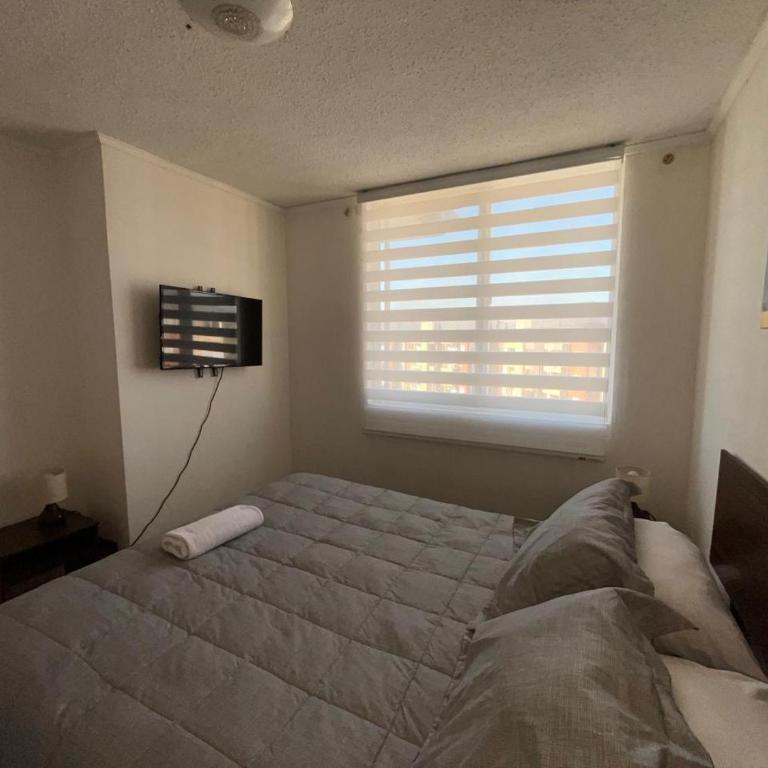 Apartamento familiar - Apartamento de 3 dormitorios - 16