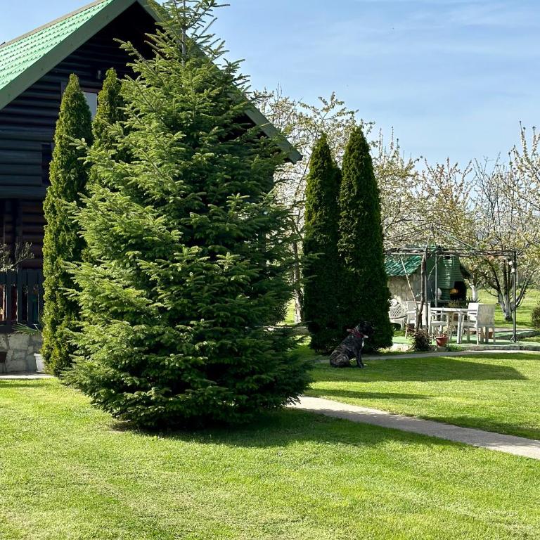 Wooden House - Imanje Terzic - One-Bedroom House - 28