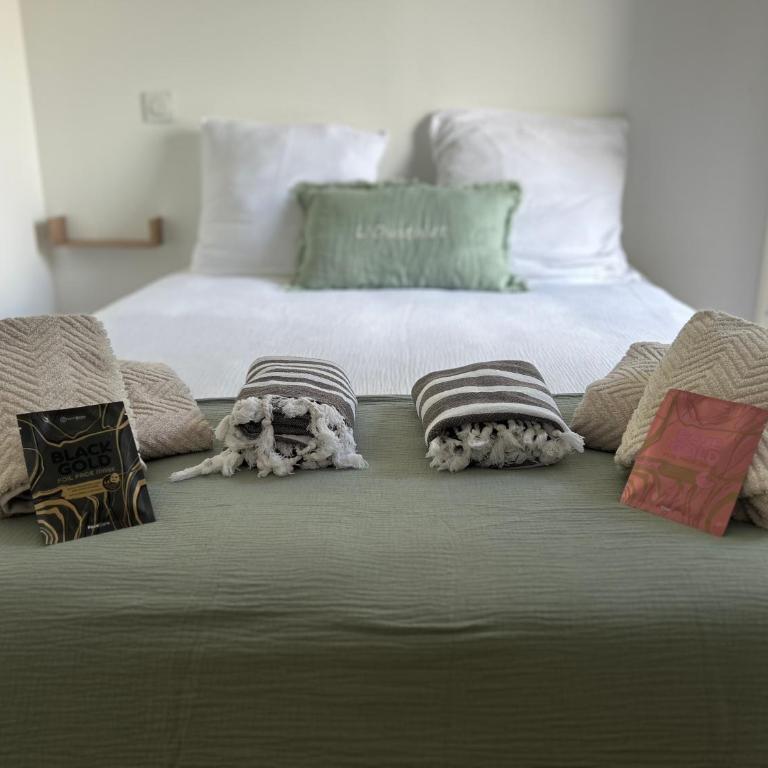 L Oustalet Maison avec Spa proche Mer - Haus mit 1 Schlafzimmer - 5