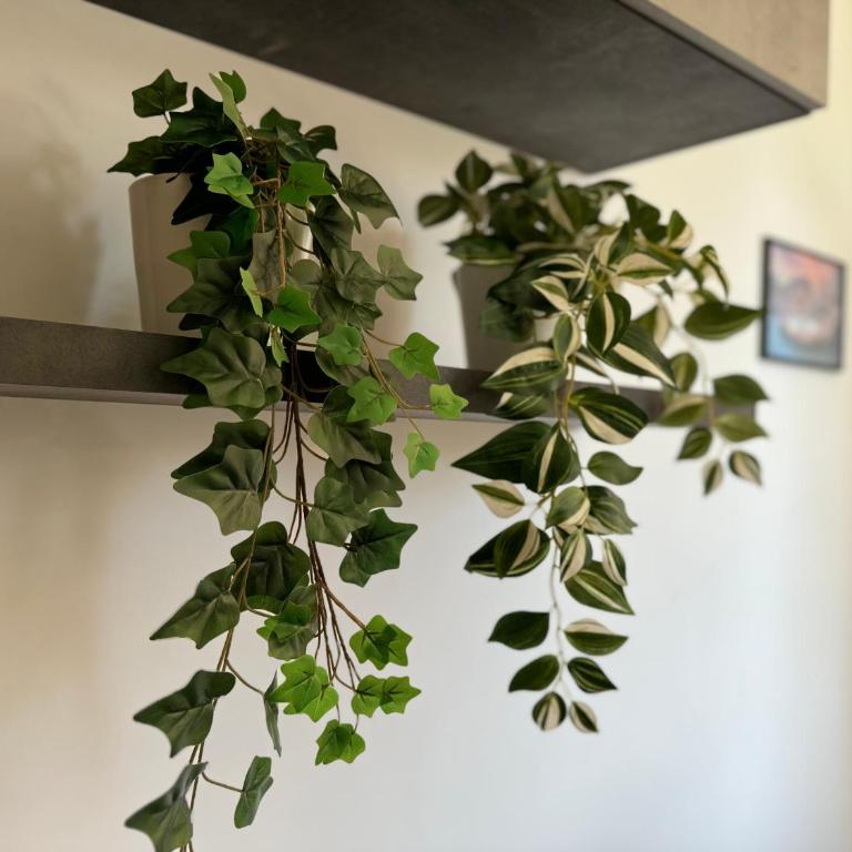 House Garden 44 - 15 minutes from Vatican Museums - Casa con 2 Camere da Letto - 8