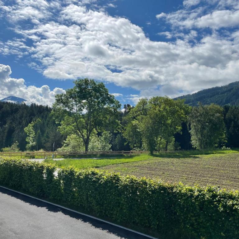 Mountain View Appartements mit Blick - Apartamento de 1 dormitorio con vistas - 10