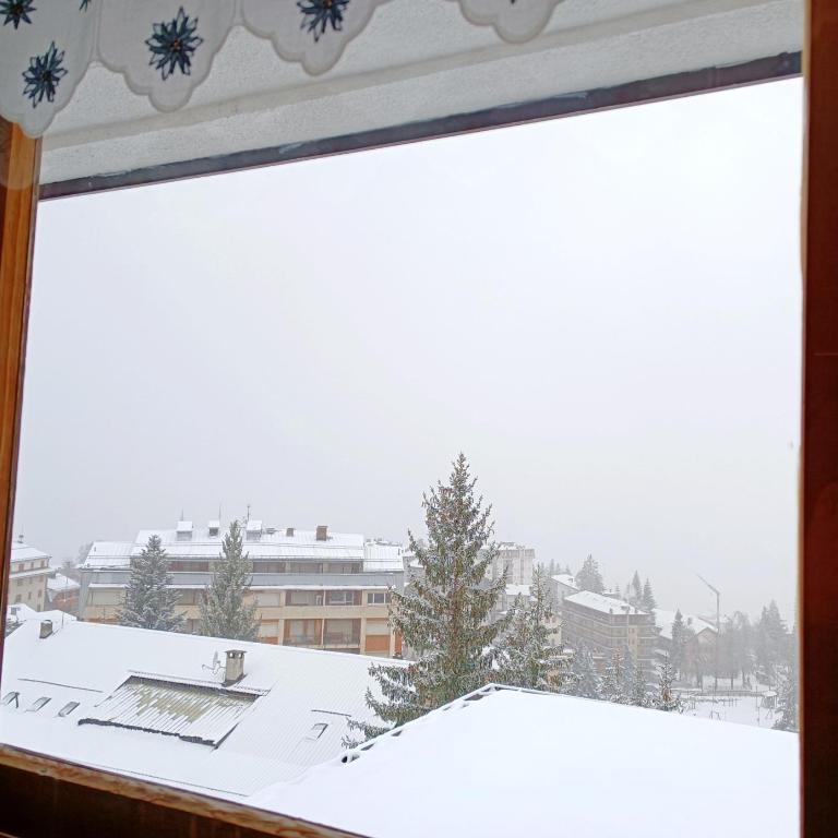 Maison Seguret 50mt from sky lifts - Appartamento con 1 Camera da Letto - 17