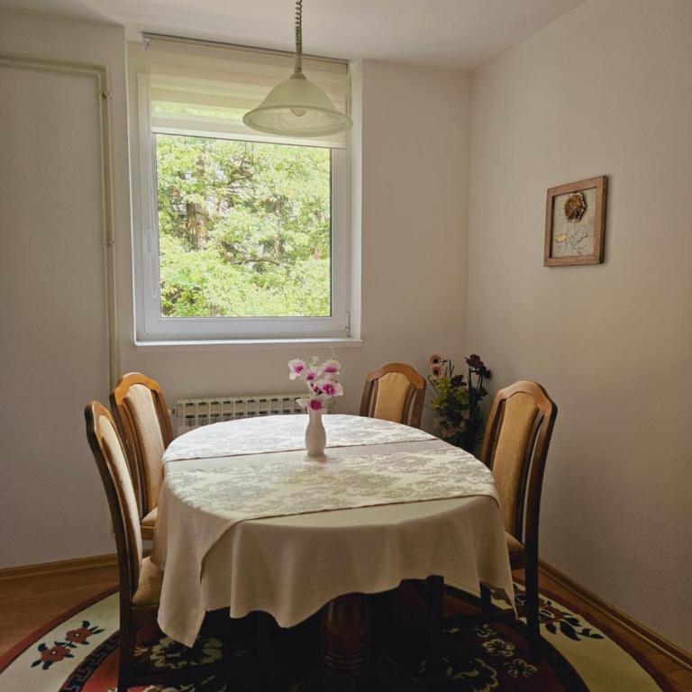 Cozy Sarajevo City Apartment - Apartman sa 2 Spavaće Sobe i Balkonom - 14