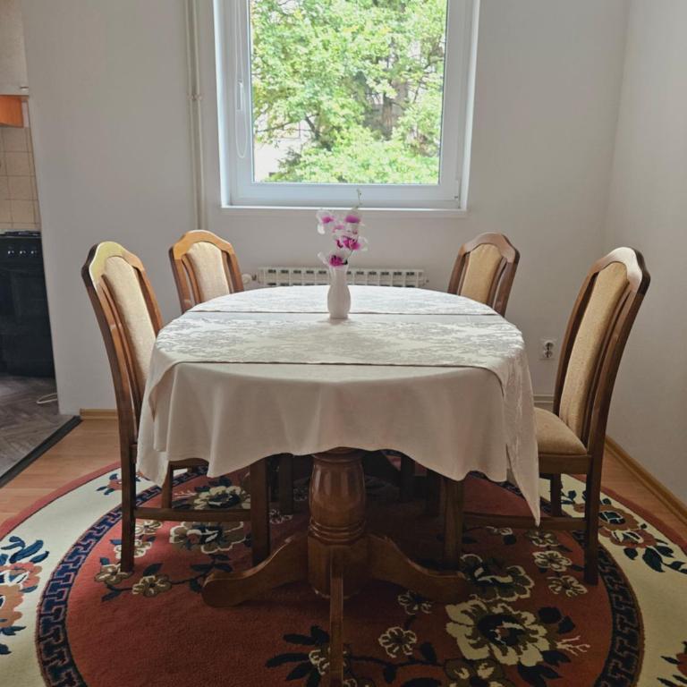 Cozy Sarajevo City Apartment - Apartman sa 2 Spavaće Sobe i Balkonom - 13