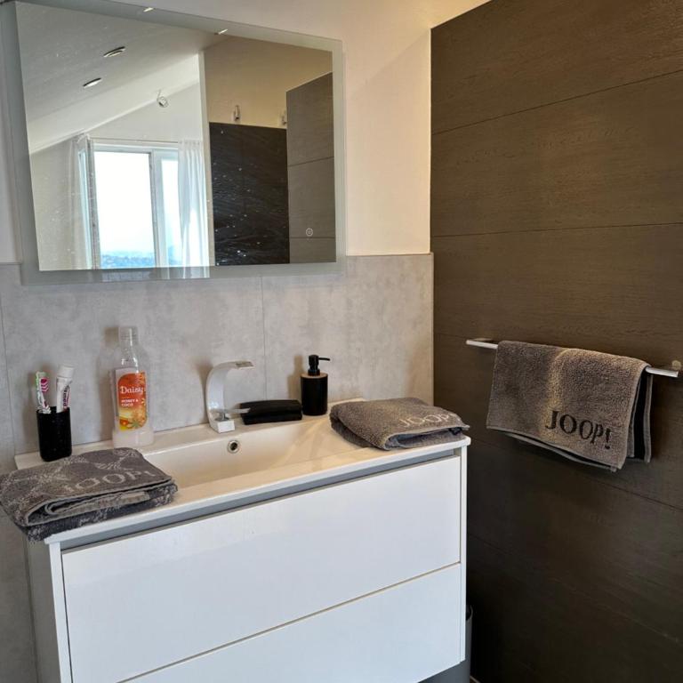 Villa Gegaj - Deluks Apartman sa 1 Spavaćom Sobom i Pogledom na Grad - 14