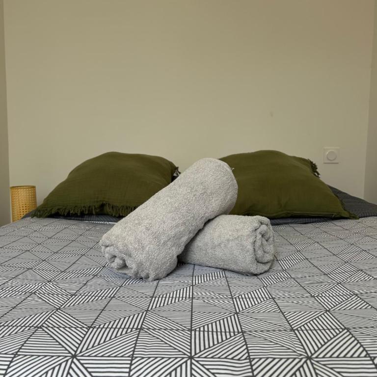 Le Toulousain 201 - Appartement Cosy en Hypercentre - Quartier Jeanne d'Arc - One-Bedroom Apartment - 9