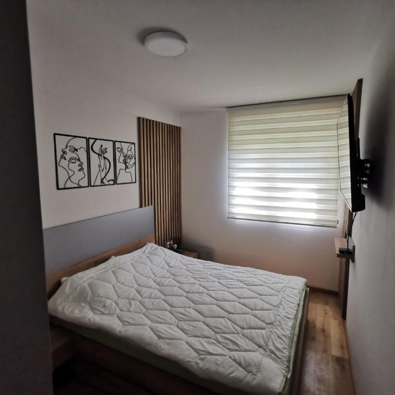 Centar Park Lux - Apartman sa 1 Spavaćom Sobom - 8