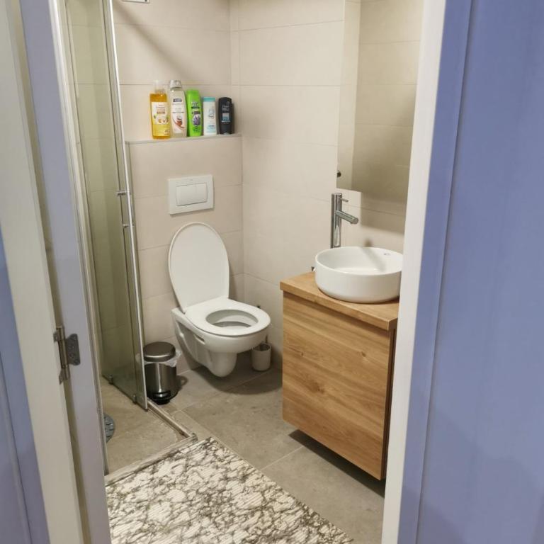 Centar Park Lux - Apartman sa 1 Spavaćom Sobom - 9