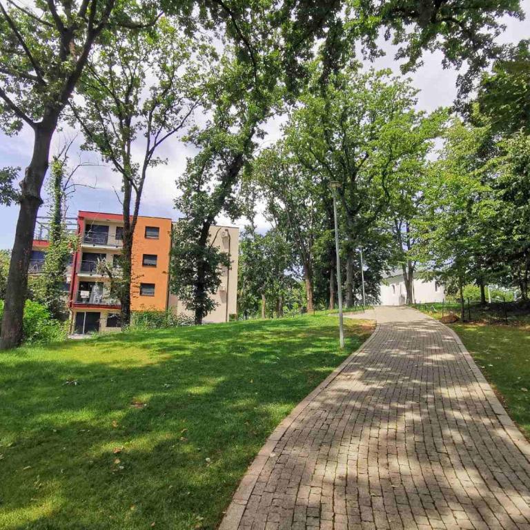 Centar Park Lux - Apartman sa 1 Spavaćom Sobom - 10