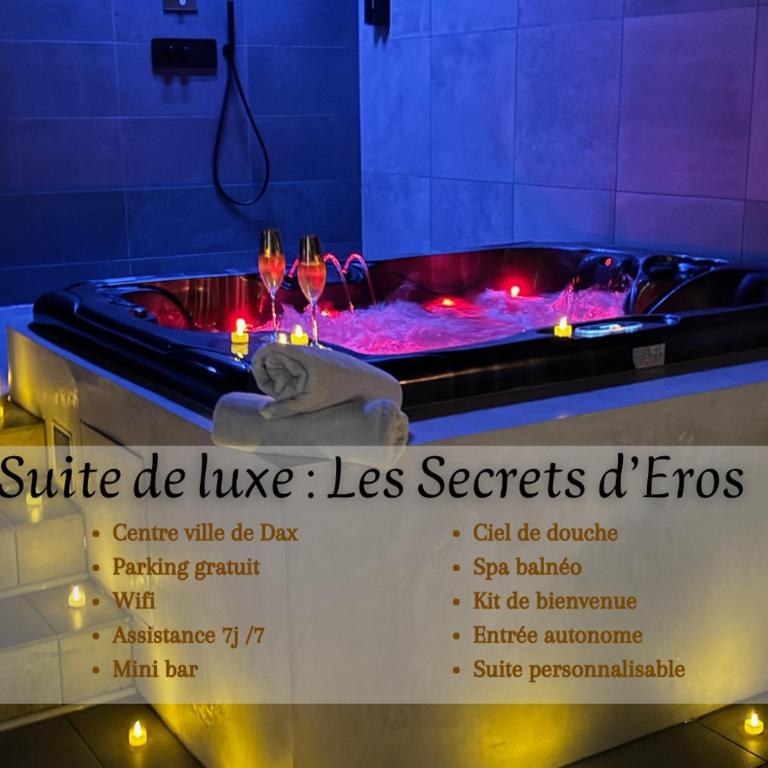 Les secrets d'Eros - DAX - Appartement 1 Chambre - 1