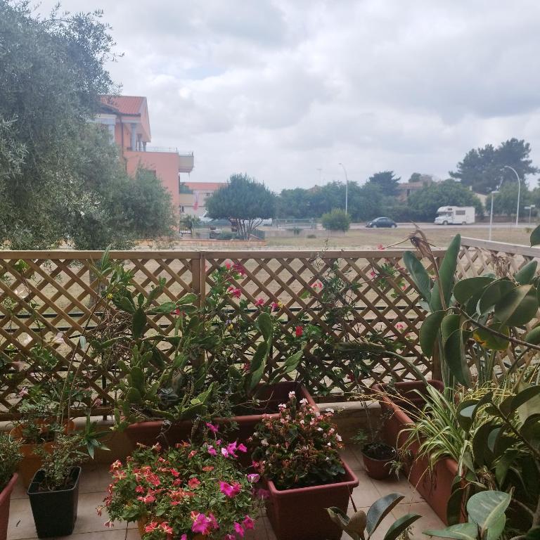 Alghero Lovely Flat - Appartamento con Vista Giardino - 26