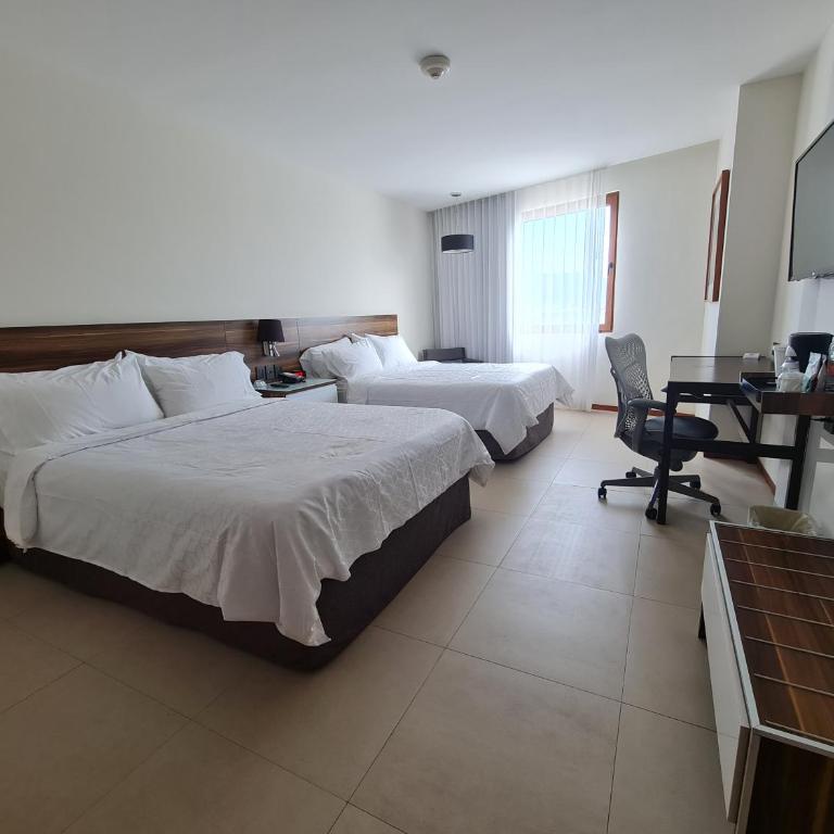 Holiday Inn Express Puerto Vallarta by IHG - Standard Room - 3
