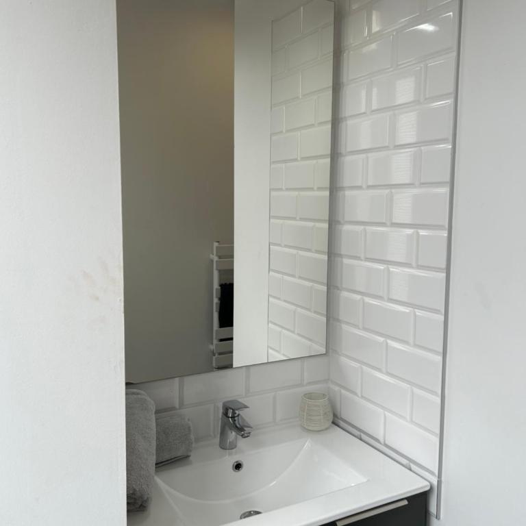 Le Toulousain 101 - Appartement Calme en Hypercentre - Quartier Jeanne d'Arc - One-Bedroom Apartment - 15