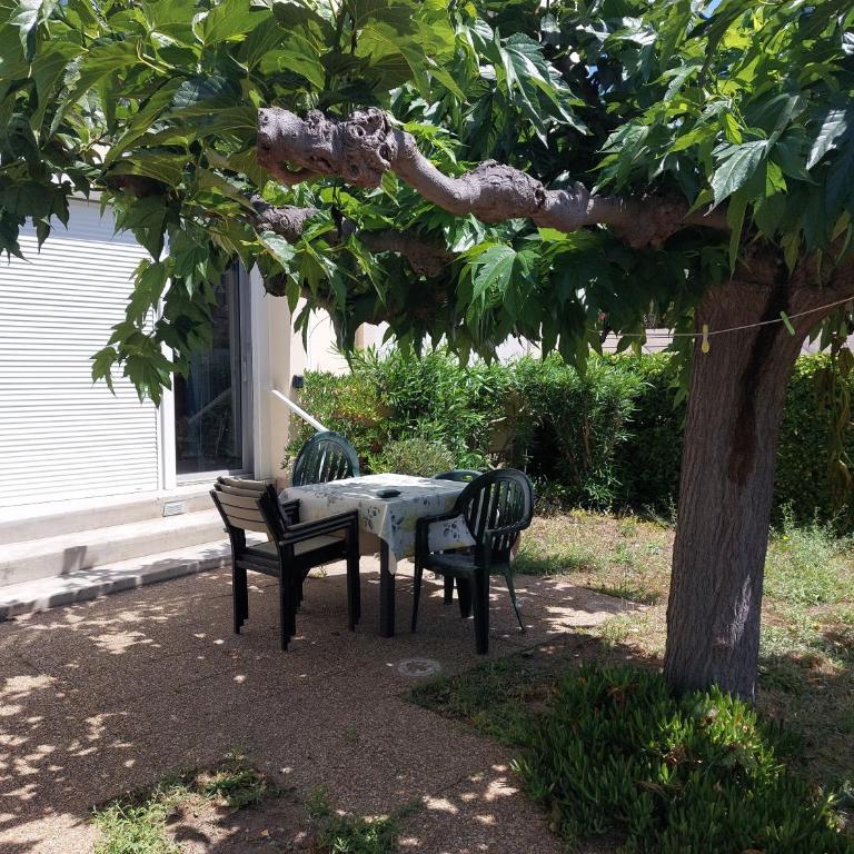 Appart T3 50m PLAGE JARDIN PARKING - Appartement - Vue sur Jardin - 4