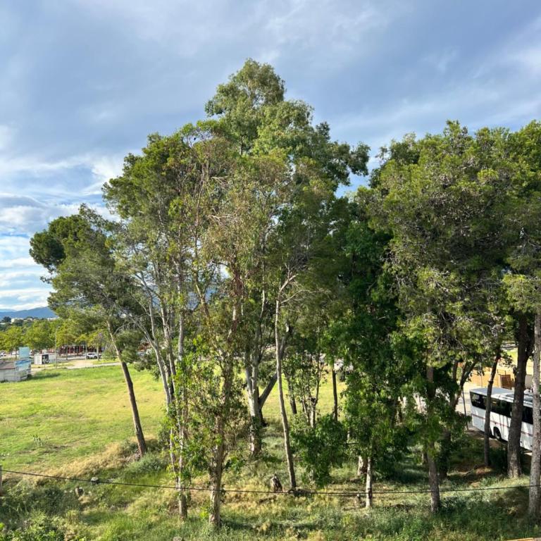 3 room apartment, 500m to beach, swimming pool, nice terrace - Three-Bedroom Apartment - 33