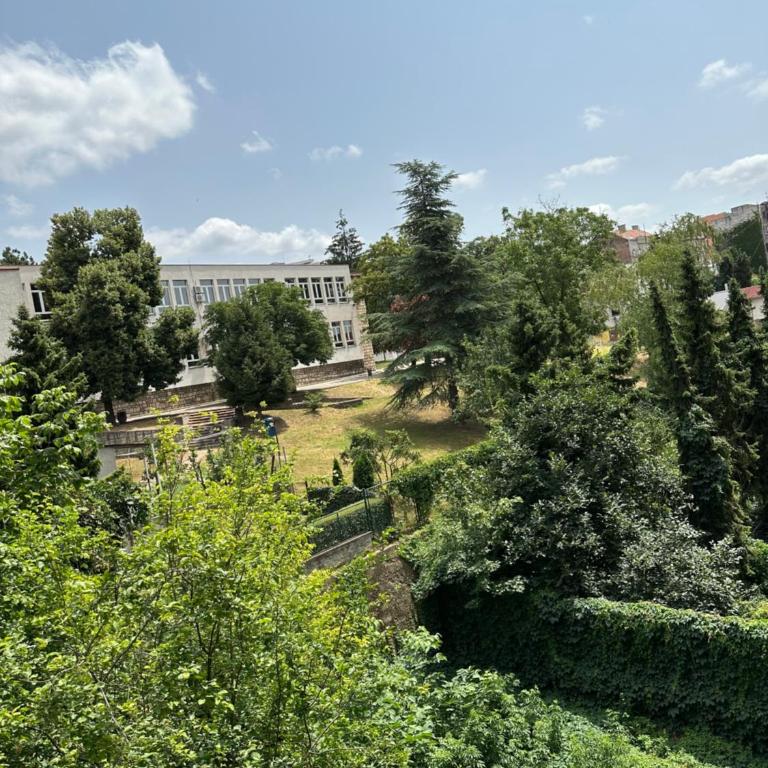 petrov apartman - One-Bedroom Apartment - 10
