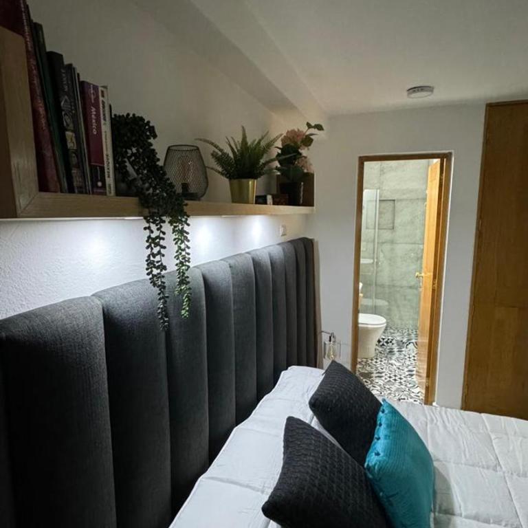 Vive Coyoacan CDMX - Habitación Doble con baño privado - 2