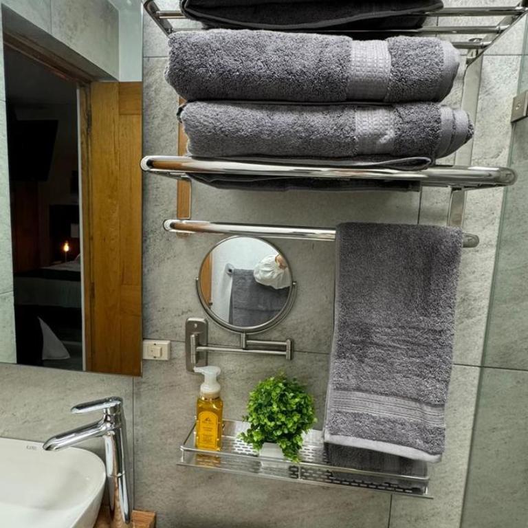 Vive Coyoacan CDMX - Habitación Doble con baño privado - 6