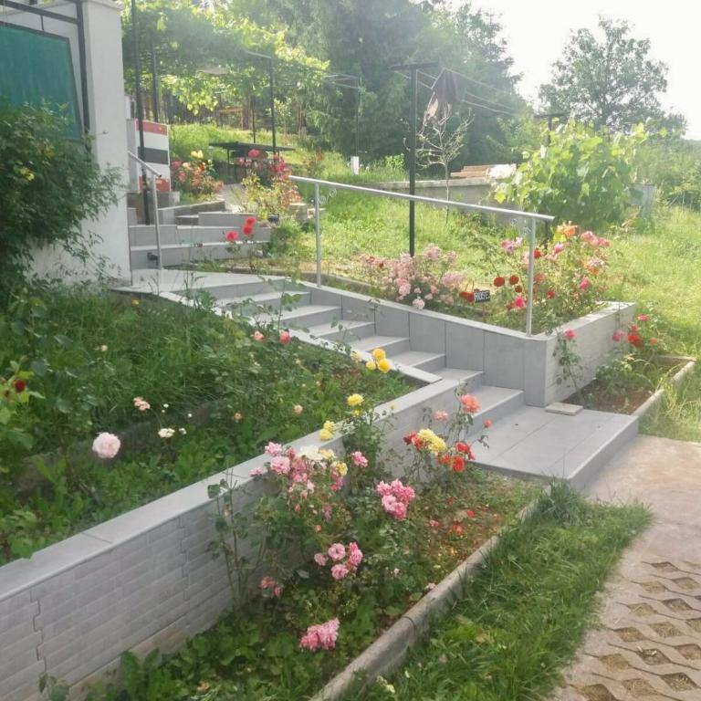 Villa Rose - Three-Bedroom House - 2