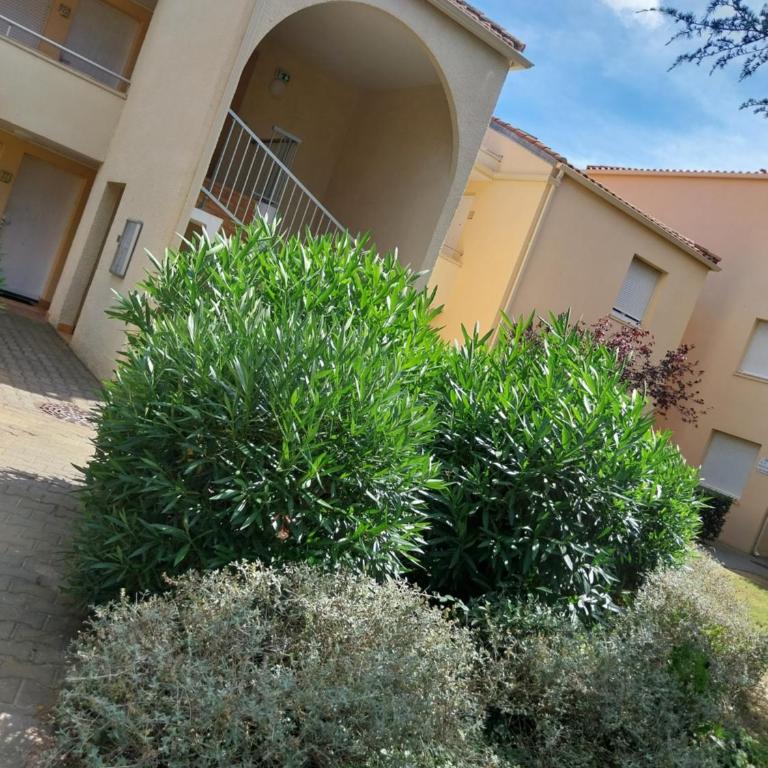 Le Petit Coeur à Canet - Superbe T2 piscine, tennis, climatisation, parking privé - Apartamento de 1 dormitorio - 26