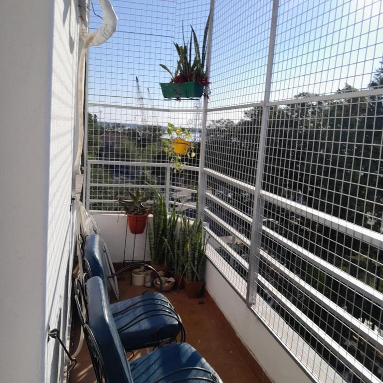 Placida - One-Bedroom Apartment - 1