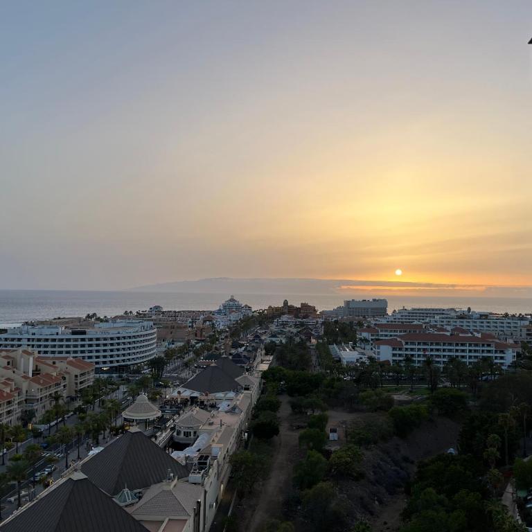 TORRES DEL SOL 14 Floor OCEAN'S BALCONY - Apartamento de 1 dormitorio - 23