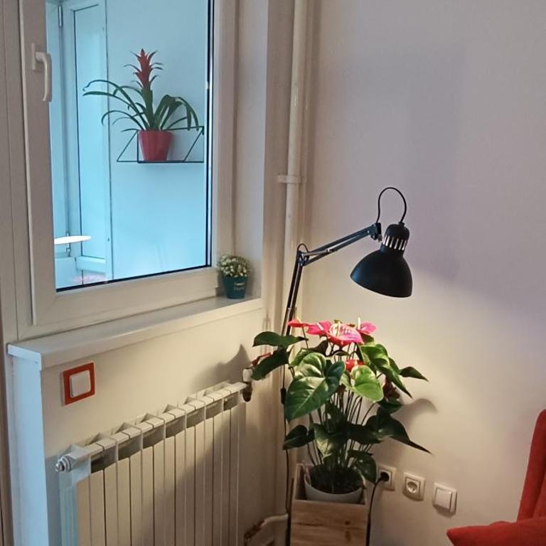 Apartment Mia - Apartman sa 1 Spavaćom Sobom - 2