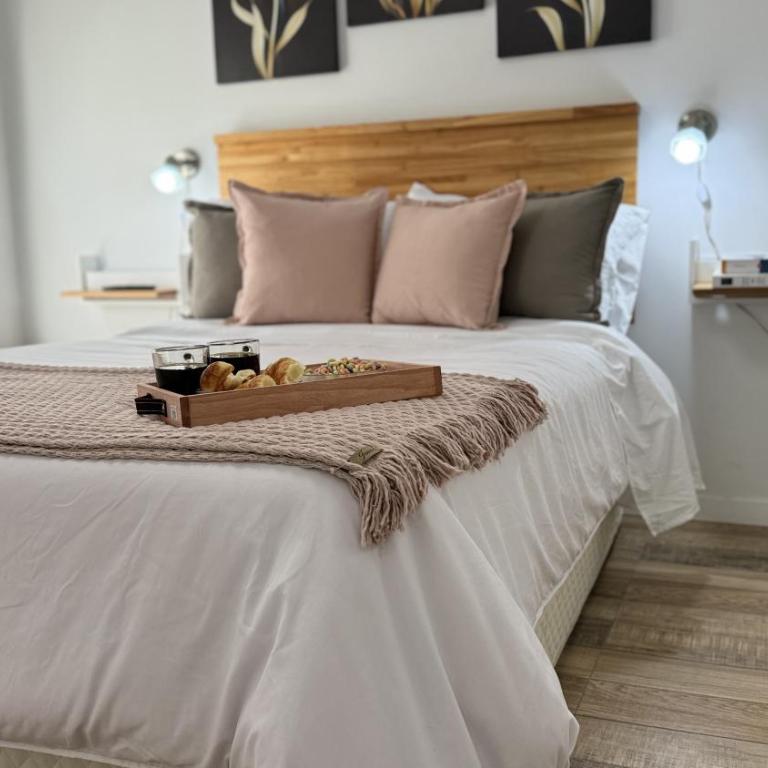 Eloise II, excelente ubicación y con todo lo que necesitas! - Apartamento de 1 dormitorio - 1