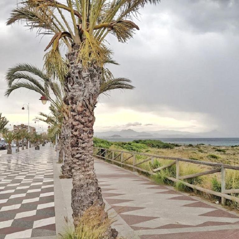 California Suite - Arenales del Sol 6P - Apartamento de 3 dormitorios - 20