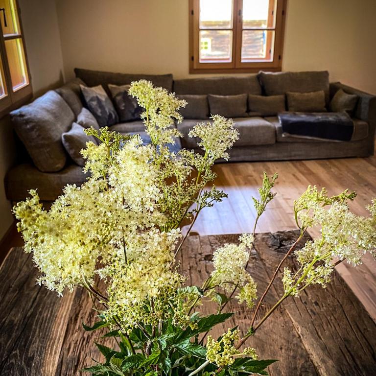 Chalet Hubertussee - Chalet mit 3 Schlafzimmern - 8