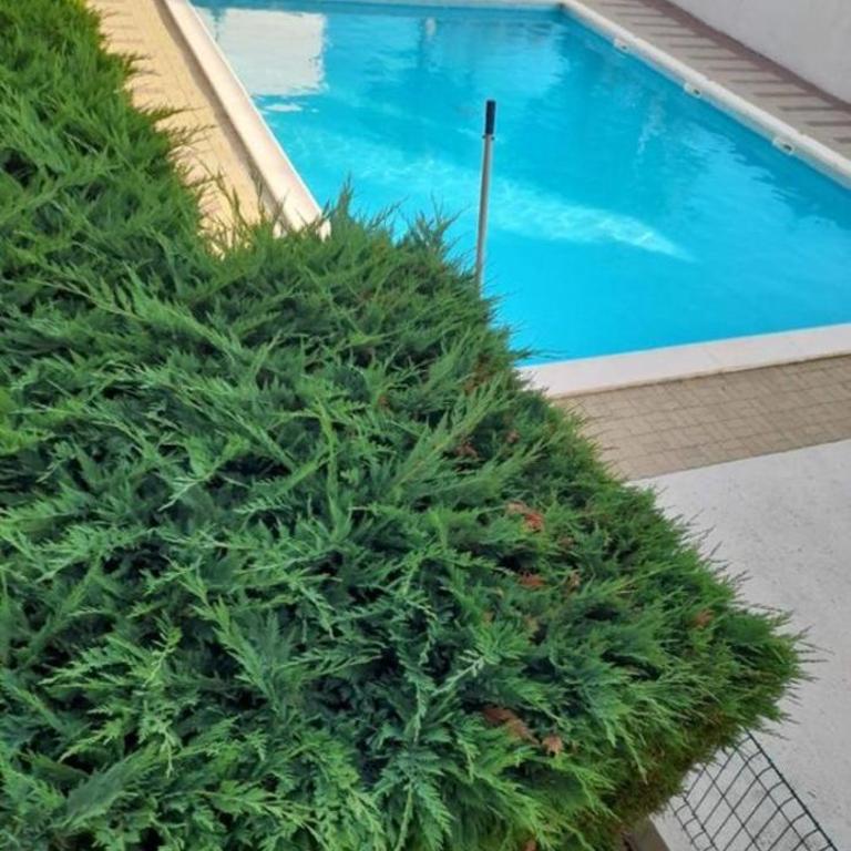 Appart Cap d’Agde - Apartamento de 1 dormitorio - 10