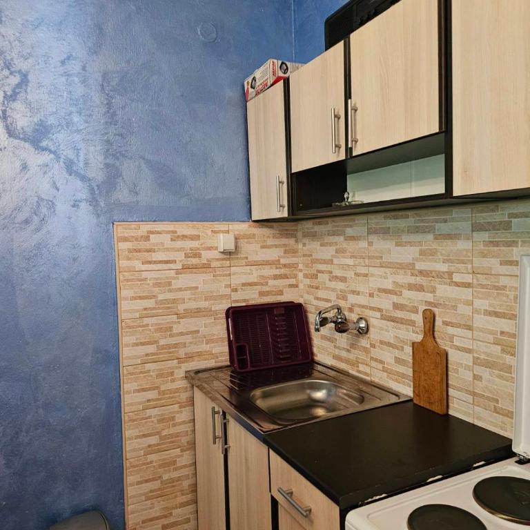 AB Apartmani Risan - Apartman sa 1 Spavaćom Sobom - 8
