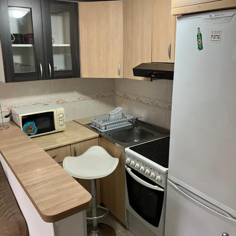 Stan Lazic - Apartman sa 2 Spavaće Sobe - 5