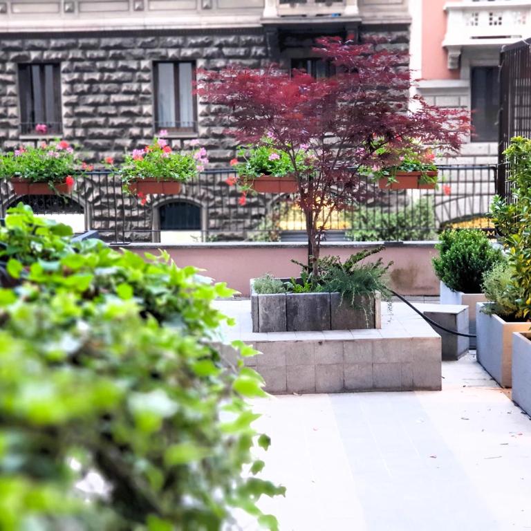 Terrace Charming in Milano Centrale - Appartamento con 1 Camera da Letto - 2
