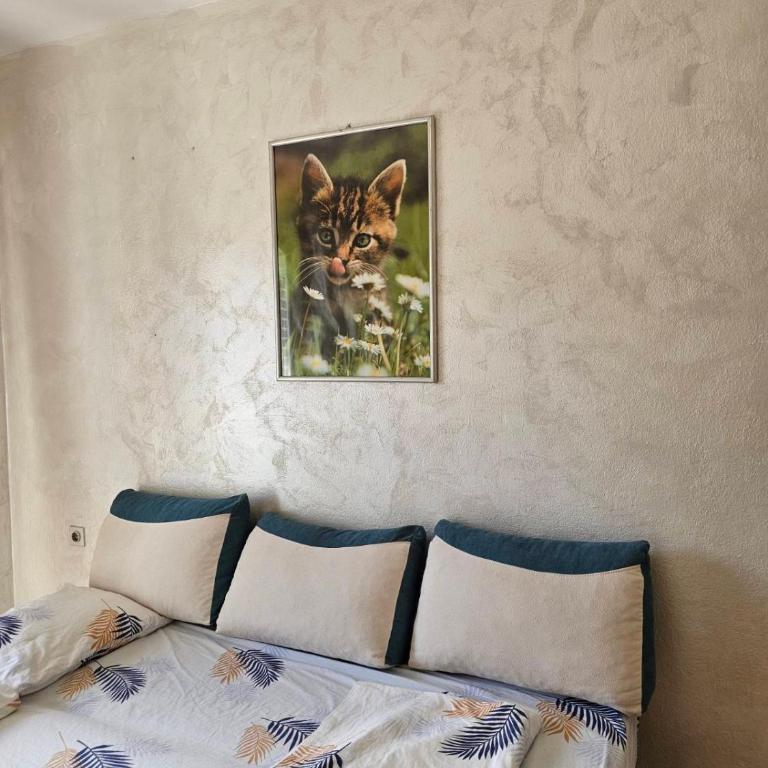 AB Apartmani Risan - Apartman sa 1 Spavaćom Sobom - 18
