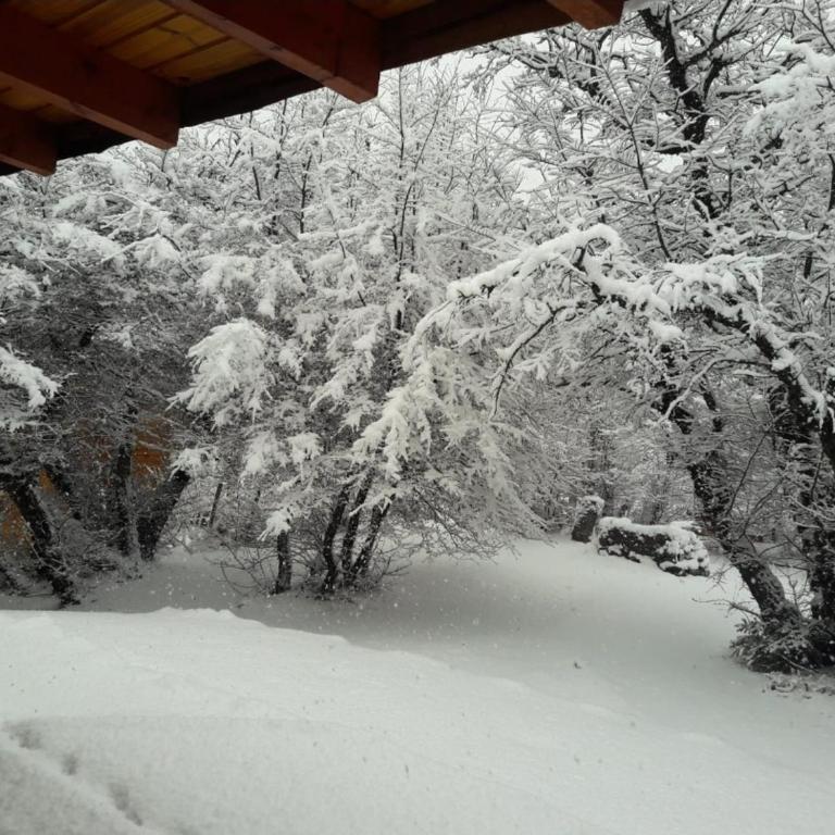 Cabañas Wirkaleufu - Two-Bedroom Apartment - 4