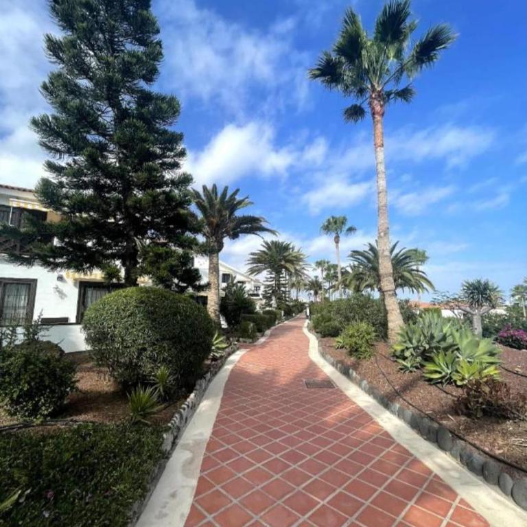 APARTMENT IN AMARILLA GOLF 2 bedrooms - Apartamento Familiar de 2 dormitorios con vistas - 24