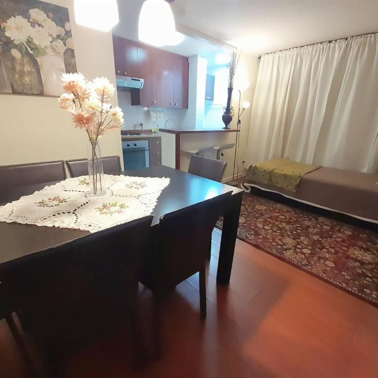 VIP Apartments Chile - Two-Bedroom Apartment - 30