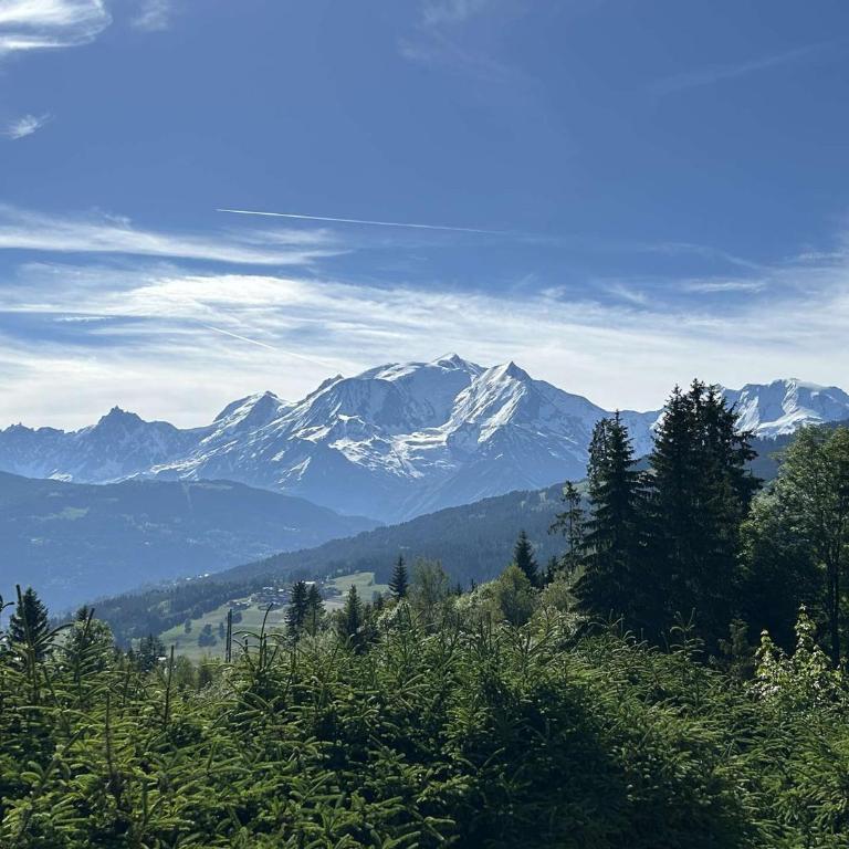 Appartement 3 Pièces + Mezzanine, 7 couchages, vue Mont-Blanc, Parking - FR-1-597-177 - Appartement - 13