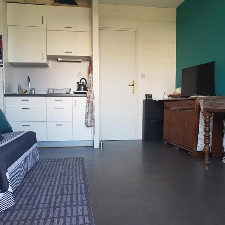 Studio calme proche plage avec climatisation, Le Lavandou - FR-1-803-54 - Studio - 6