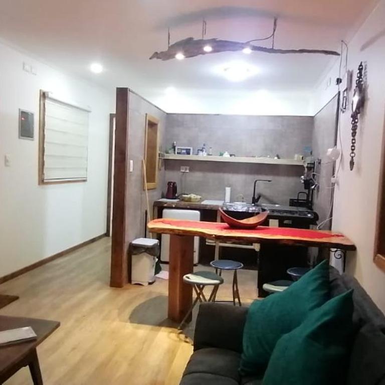 Rincón Puyehue - Two-Bedroom Apartment - 5