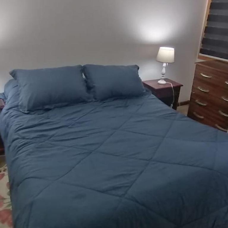 Rincón Puyehue - Two-Bedroom Apartment - 10