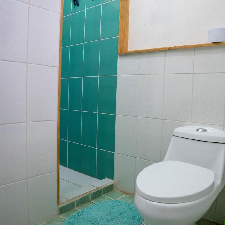 La Mejor Ubicación! Departamento Patrimonial en pleno centro de Vicuña - Two-Bedroom Apartment - 4