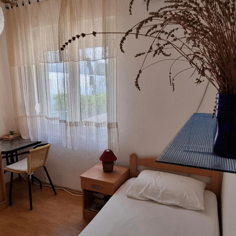 Zemunella Guest House - Single Room with Shared Shower and Toilet - 4