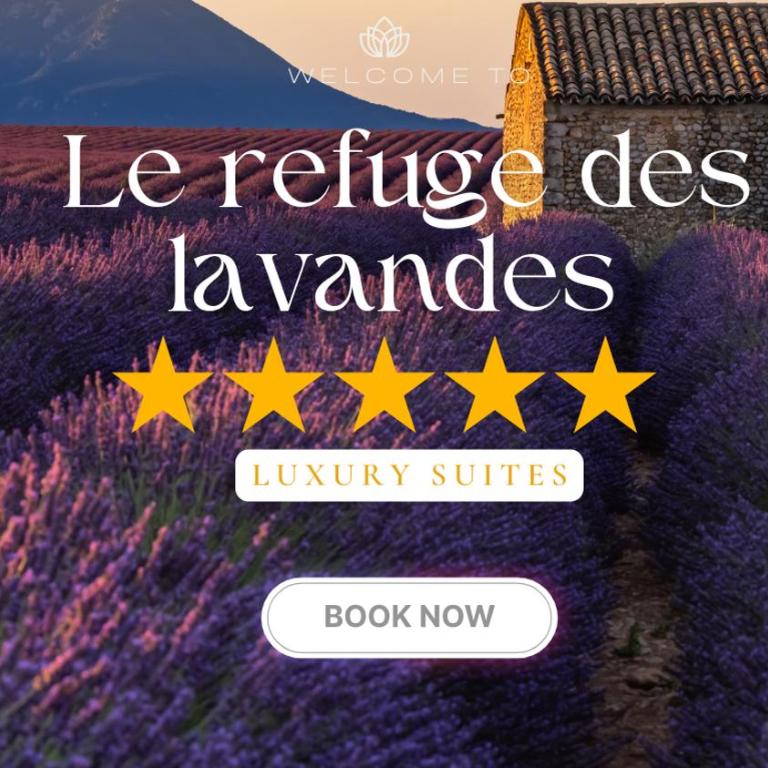 Le King & Suites étoilées - Studio - 1