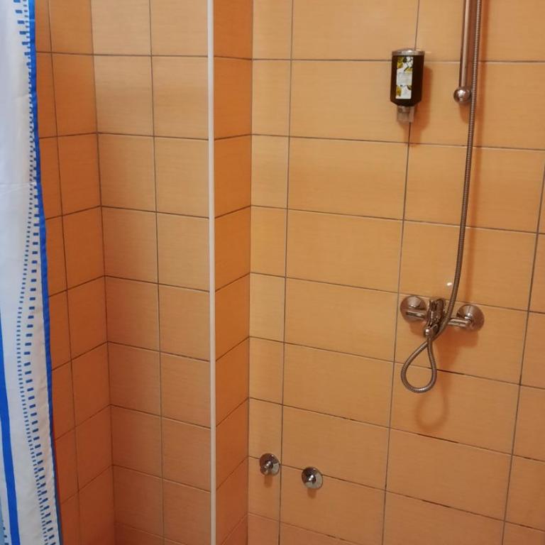 Apartmani Vila Milaris - Apartman sa 1 Spavaćom Sobom - 5